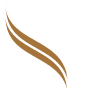 Falcon Capital Partners