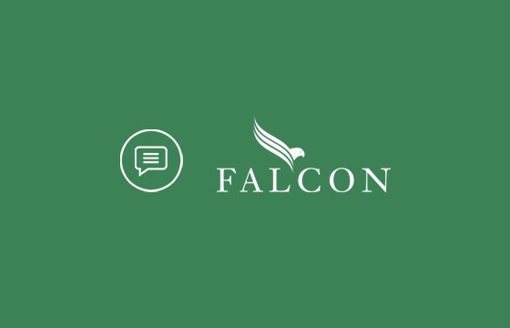 Falcon Capital Partners Announce the Launch of their Corporate Divestiture Practice
